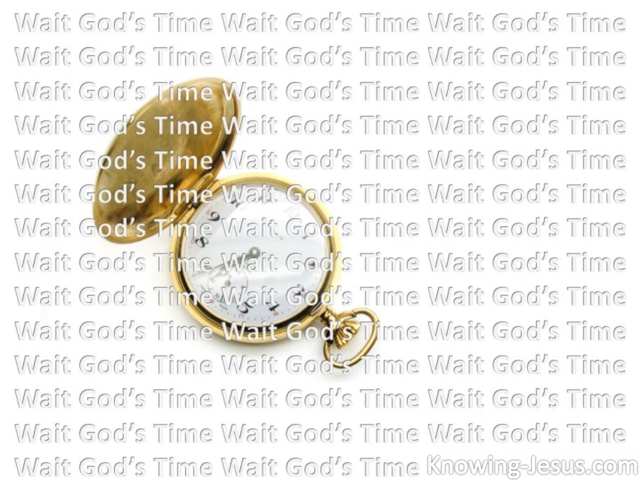 Wait God's Time (devotional) (white)